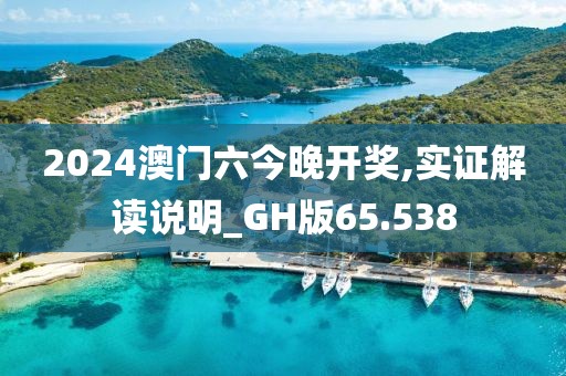 2024澳门六今晚开奖,实证解读说明_GH版65.538