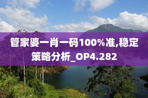 管家婆一肖一码100%准,稳定策略分析_OP4.282