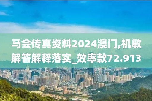 马会传真资料2024澳门,机敏解答解释落实_效率款72.913