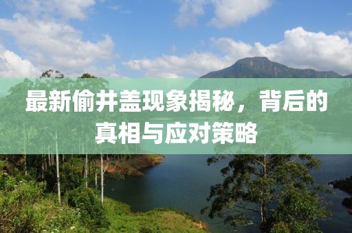 最新偷井盖现象揭秘，背后的真相与应对策略