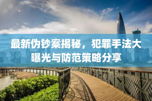 最新伪钞案揭秘，犯罪手法大曝光与防范策略分享