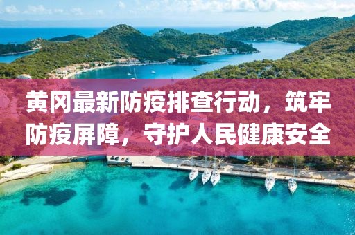 黄冈最新防疫排查行动，筑牢防疫屏障，守护人民健康安全