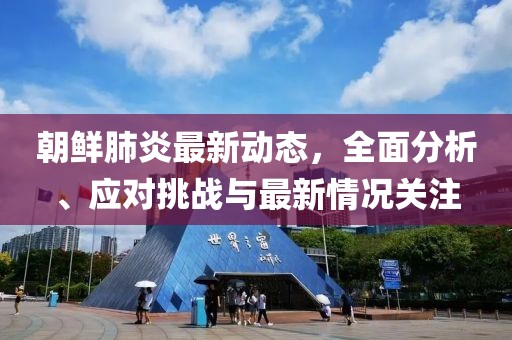 朝鲜肺炎最新动态，全面分析、应对挑战与最新情况关注