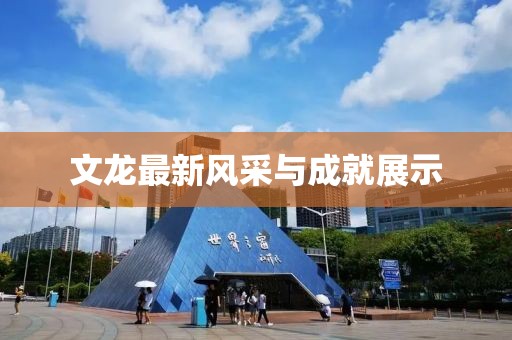 文龙最新风采与成就展示