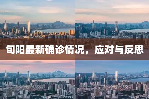 旬阳最新确诊情况，应对与反思