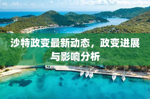 沙特政变最新动态，政变进展与影响分析