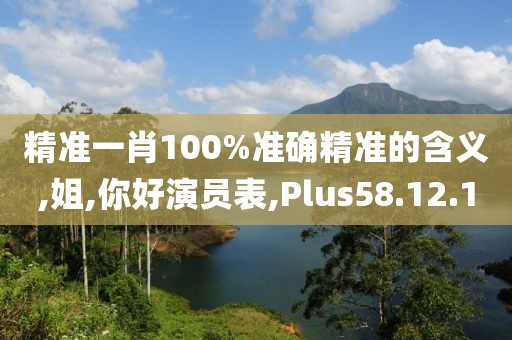 精准一肖100%准确精准的含义,姐,你好演员表,Plus58.12.10