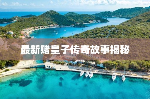 最新赌皇子传奇故事揭秘