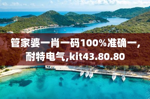 管家婆一肖一码100%准确一,耐特电气,kit43.80.80
