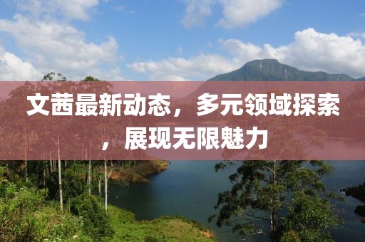 文茜最新动态，多元领域探索，展现无限魅力