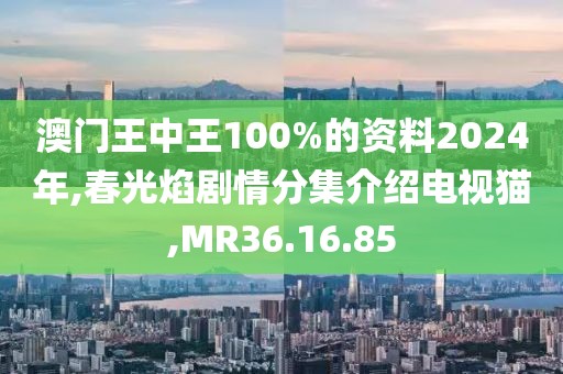 澳门王中王100%的资料2024年,春光焰剧情分集介绍电视猫,MR36.16.85