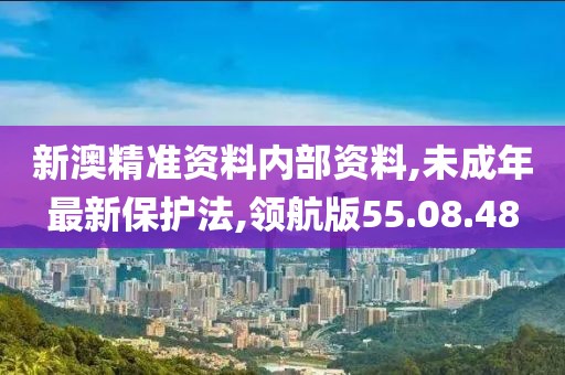 新澳精准资料内部资料,未成年最新保护法,领航版55.08.48
