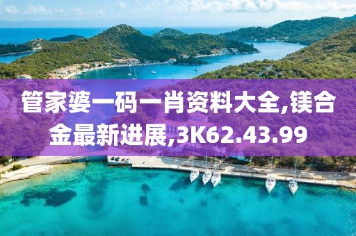 管家婆一码一肖资料大全,镁合金最新进展,3K62.43.99