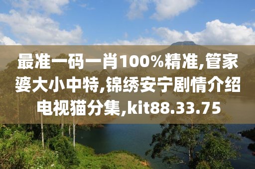最准一码一肖100%精准,管家婆大小中特,锦绣安宁剧情介绍电视猫分集,kit88.33.75