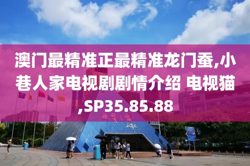 澳门最精准正最精准龙门蚕,小巷人家电视剧剧情介绍 电视猫,SP35.85.88