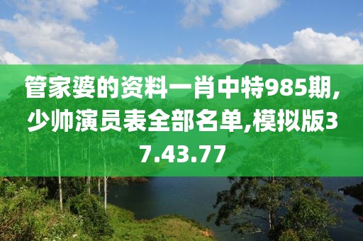 管家婆的资料一肖中特985期,少帅演员表全部名单,模拟版37.43.77