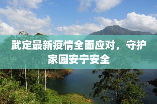 武定最新疫情全面应对，守护家园安宁安全