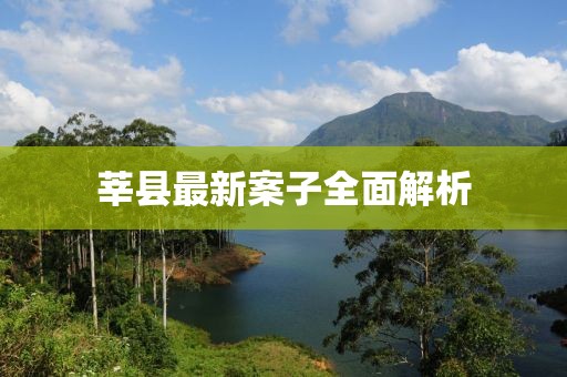 莘县最新案子全面解析