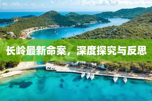 长岭最新命案，深度探究与反思