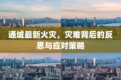 通城最新火灾，灾难背后的反思与应对策略