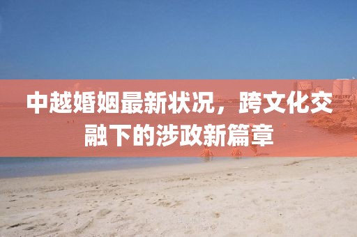 中越婚姻最新状况，跨文化交融下的涉政新篇章