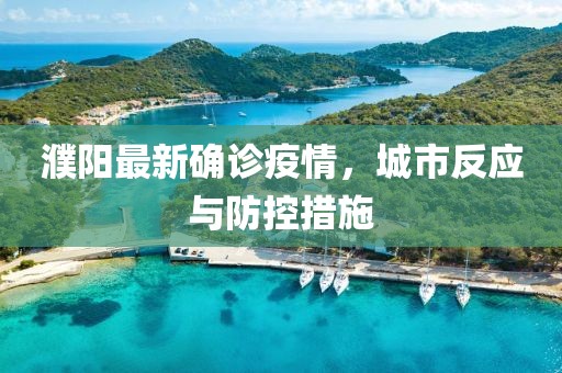 濮阳最新确诊疫情，城市反应与防控措施