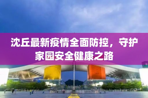 沈丘最新疫情全面防控，守护家园安全健康之路
