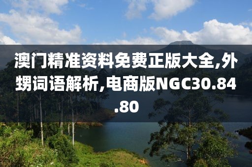 澳门精准资料免费正版大全,外甥词语解析,电商版NGC30.84.80