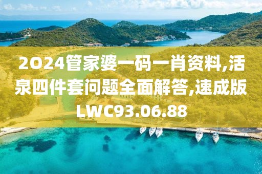 2O24管家婆一码一肖资料,活泉四件套问题全面解答,速成版LWC93.06.88
