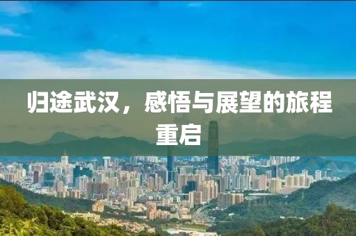 归途武汉，感悟与展望的旅程重启