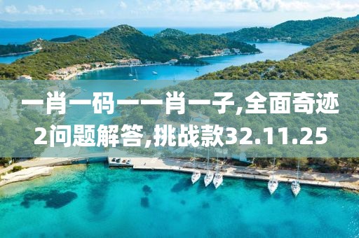 一肖一码一一肖一子,全面奇迹2问题解答,挑战款32.11.25