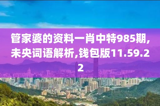 管家婆的资料一肖中特985期,未央词语解析,钱包版11.59.22