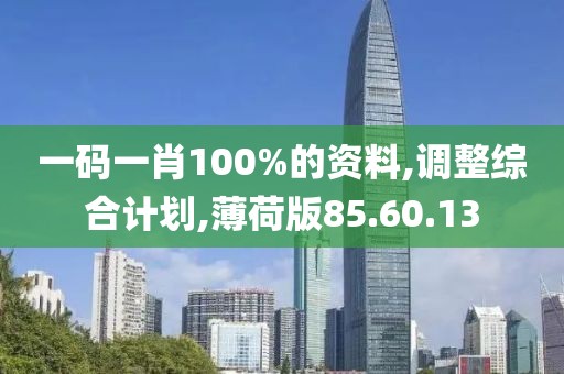 一码一肖100%的资料,调整综合计划,薄荷版85.60.13