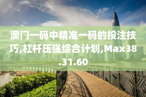 澳门一码中精准一码的投注技巧,杠杆压强综合计划,Max38.31.60