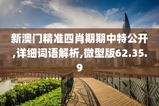 新澳门精准四肖期期中特公开,详细词语解析,微型版62.35.9