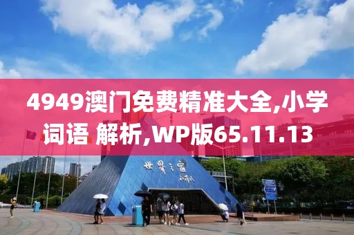 4949澳门免费精准大全,小学词语 解析,WP版65.11.13