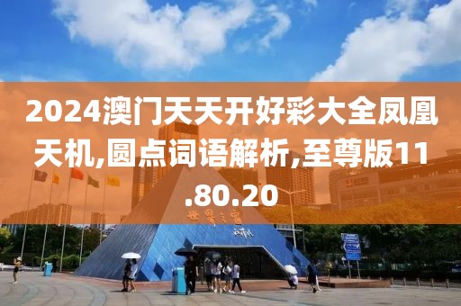 2024澳门天天开好彩大全凤凰天机,圆点词语解析,至尊版11.80.20