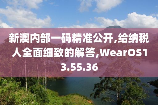 新澳内部一码精准公开,给纳税人全面细致的解答,WearOS13.55.36
