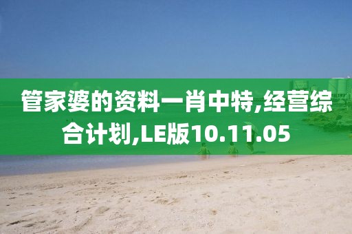 管家婆的资料一肖中特,经营综合计划,LE版10.11.05