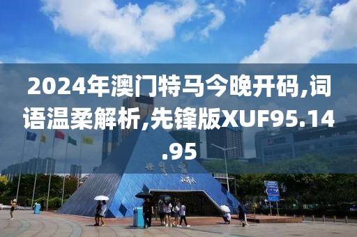 2024年澳门特马今晚开码,词语温柔解析,先锋版XUF95.14.95