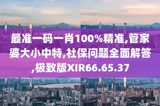最准一码一肖100%精准,管家婆大小中特,社保问题全面解答,极致版XIR66.65.37