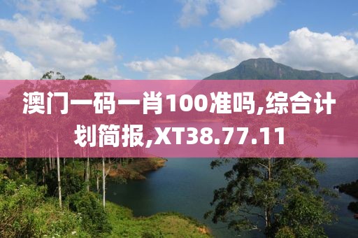 澳门一码一肖100准吗,综合计划简报,XT38.77.11