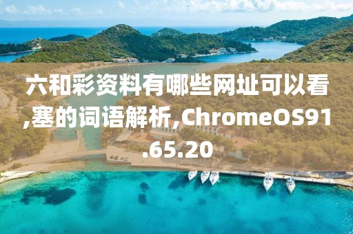 六和彩资料有哪些网址可以看,塞的词语解析,ChromeOS91.65.20