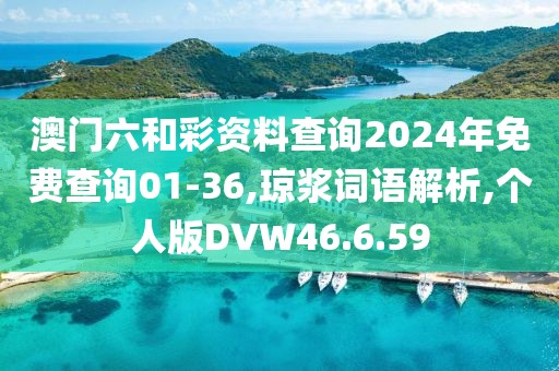 澳门六和彩资料查询2024年免费查询01-36,琼浆词语解析,个人版DVW46.6.59