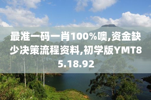 最准一码一肖100%噢,资金缺少决策流程资料,初学版YMT85.18.92