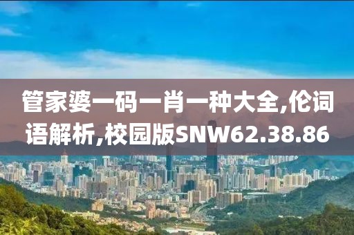 管家婆一码一肖一种大全,伦词语解析,校园版SNW62.38.86