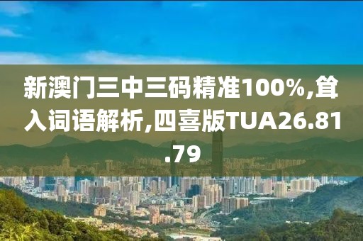 新澳门三中三码精准100%,耸入词语解析,四喜版TUA26.81.79
