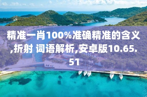精准一肖100%准确精准的含义,折射 词语解析,安卓版10.65.51