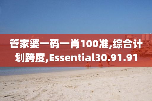 管家婆一码一肖100准,综合计划跨度,Essential30.91.91