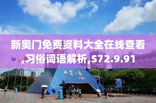 新奥门免费资料大全在线查看,习俗词语解析,S72.9.91